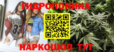 молекула духа Каменск-Уральский