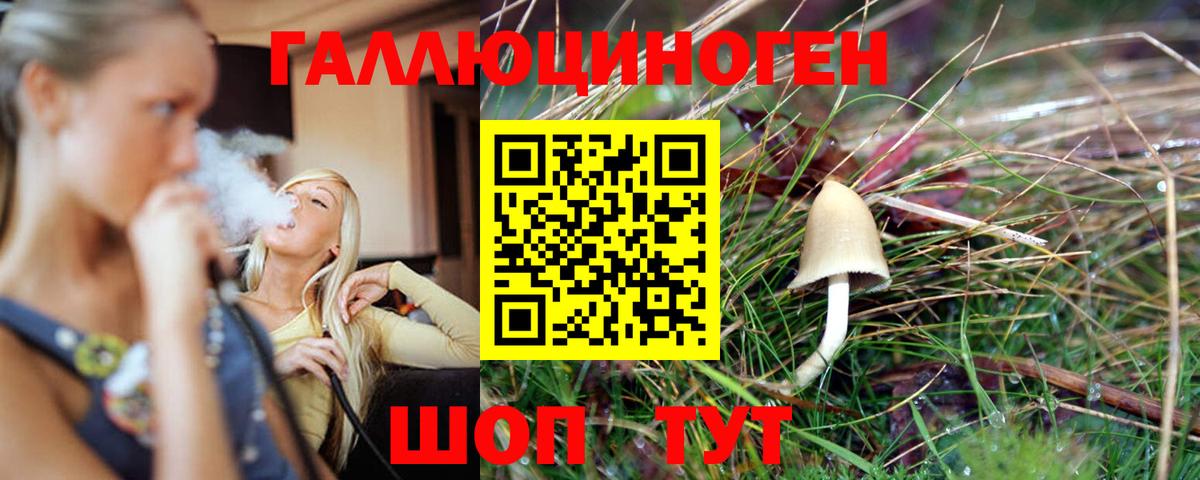 Псилоцибиновые грибы Cubensis  Вход с VPN  Белорецк  Галлюциногенные грибы Psilocybine cubensis 