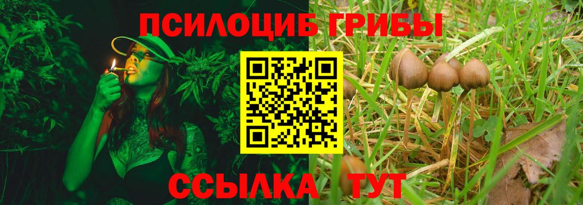 Галлюциногенные грибы мицелий Белорецк